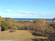 Summertrue view