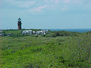 The Surround View