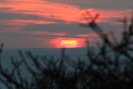 Aquinnah Beach Walk